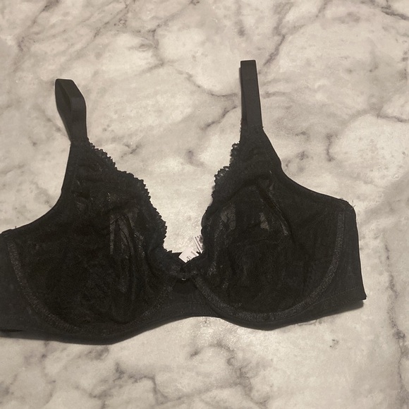 Auden - Picture 7 of 16